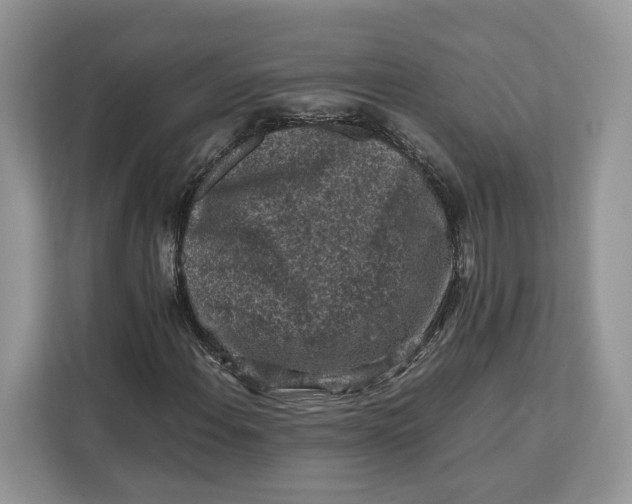 X0000112211108200908281454