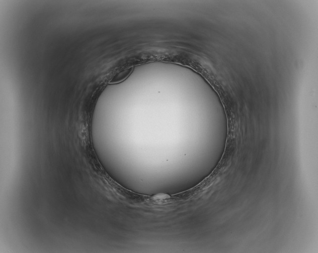 X0000112211109200908281454