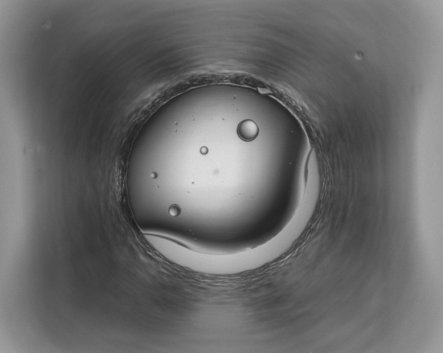 X0000112211110200908281454
