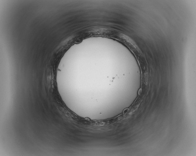 X0000112211111200908281454