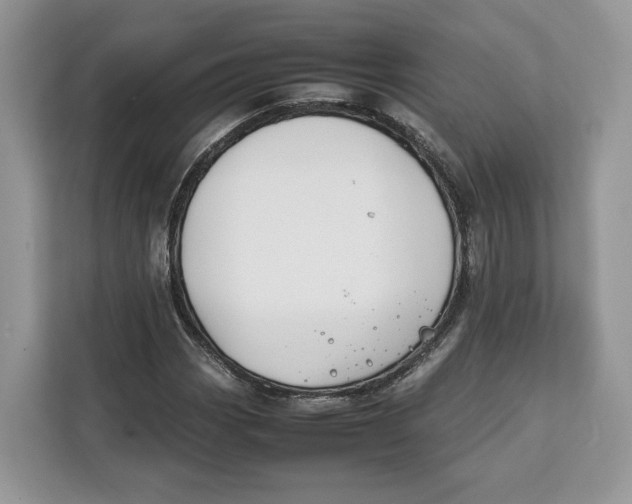 X0000112211113200908281454