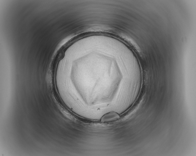 X0000112211114200908281454