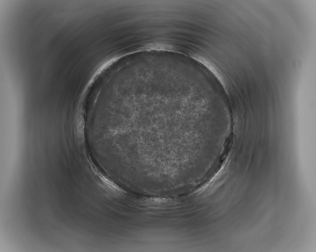 X0000112211115200908281454