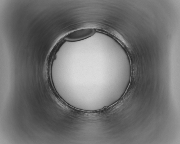 X0000112211116200908281454