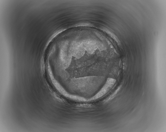 X0000112211117200908281454