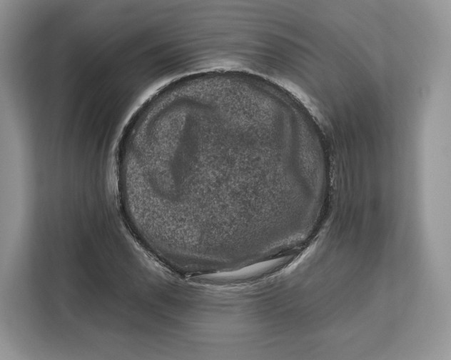 X0000112211118200908281454