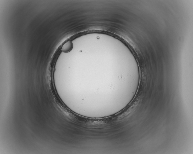 X0000112211119200908281454