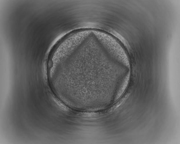 X0000112211120200908281454