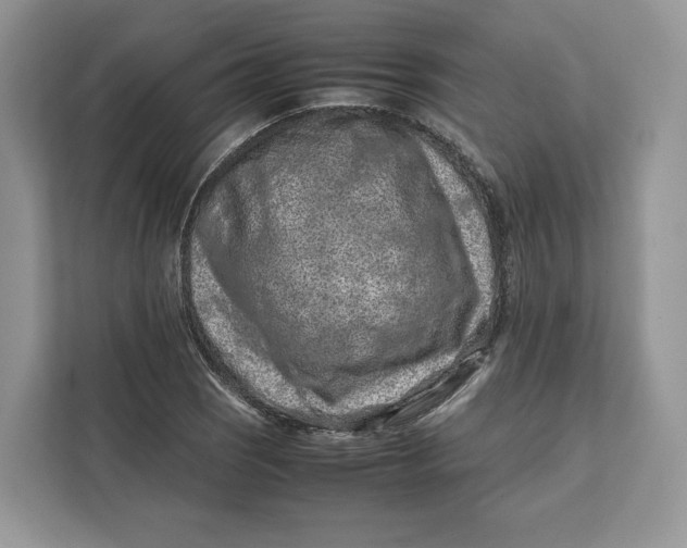 X0000112211121200908281454