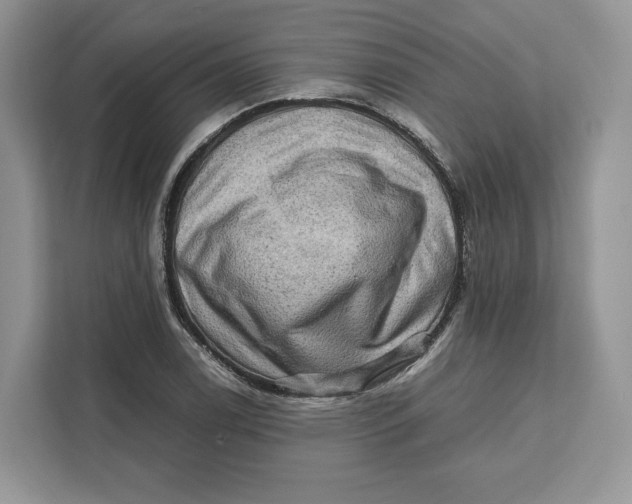 X0000112211122200908281454
