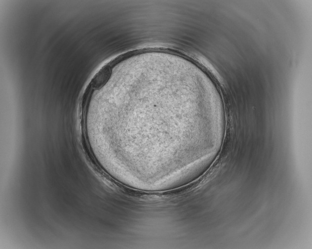 X0000112211124200908281454