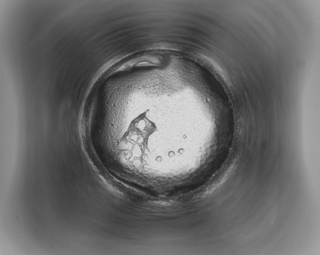 X0000112211125200908281454