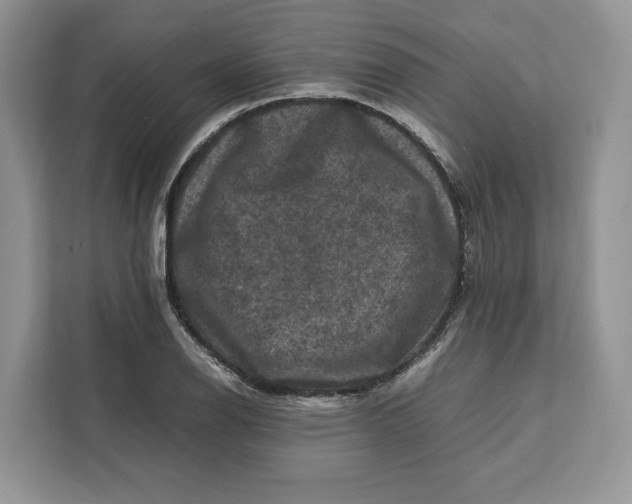 X0000112211126200908281454
