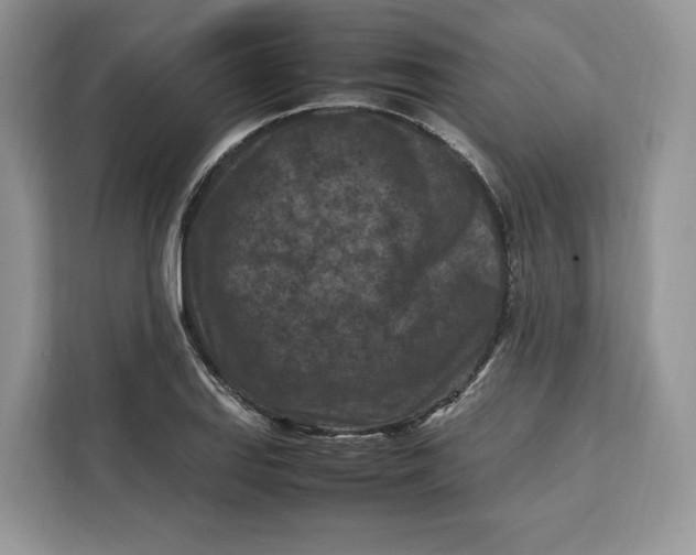 X0000112211127200908281454
