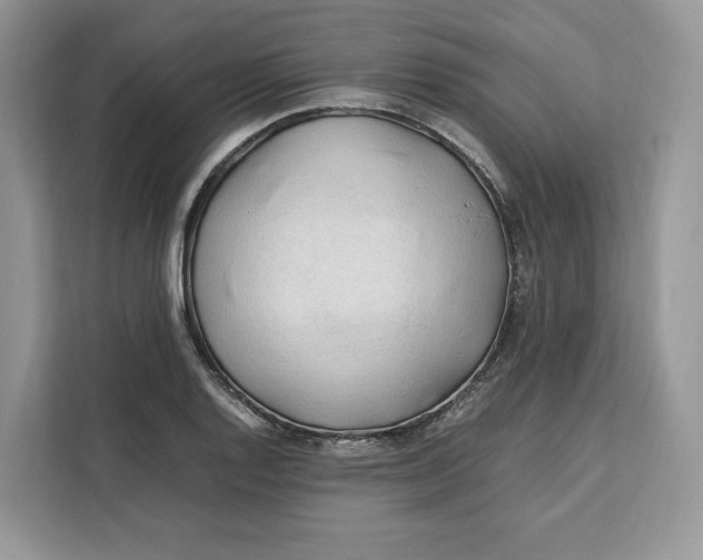 X0000112211128200908281454