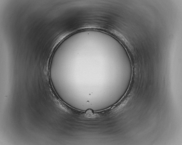 X0000112211129200908281454