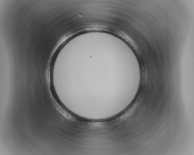 X0000112211130200908281454