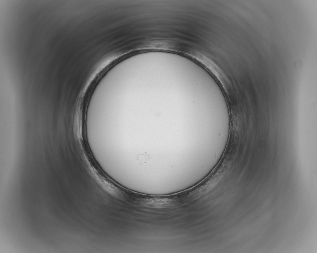 X0000112211131200908281454