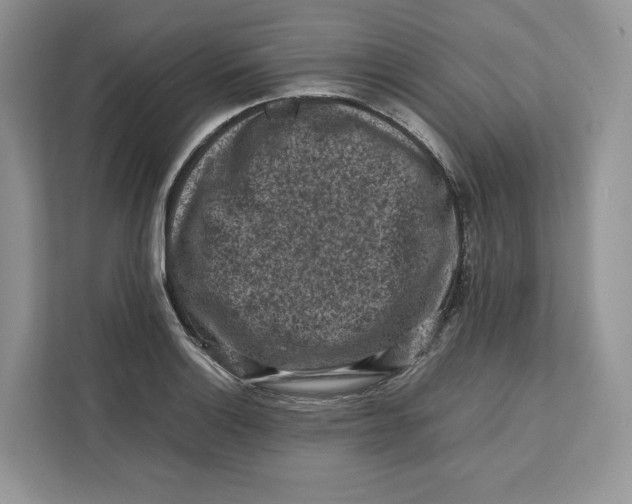 X0000112211132200908281454