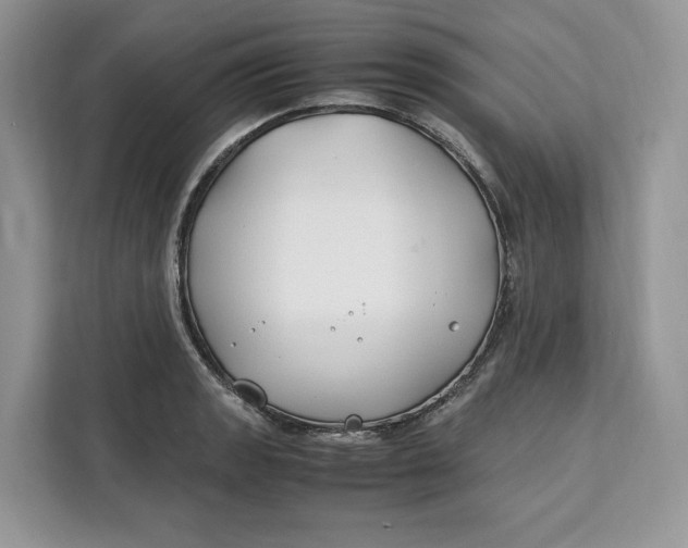 X0000112211133200908281454