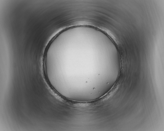 X0000112211134200908281454