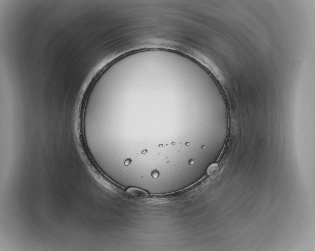 X0000112211136200908281454