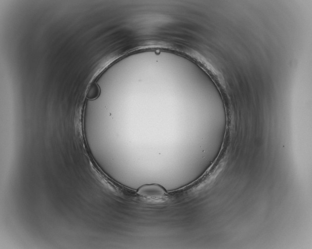 X0000112211137200908281454