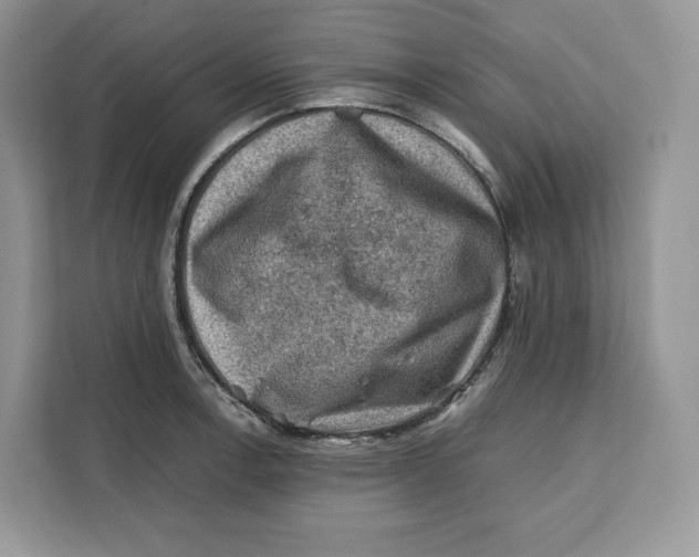 X0000112211138200908281454