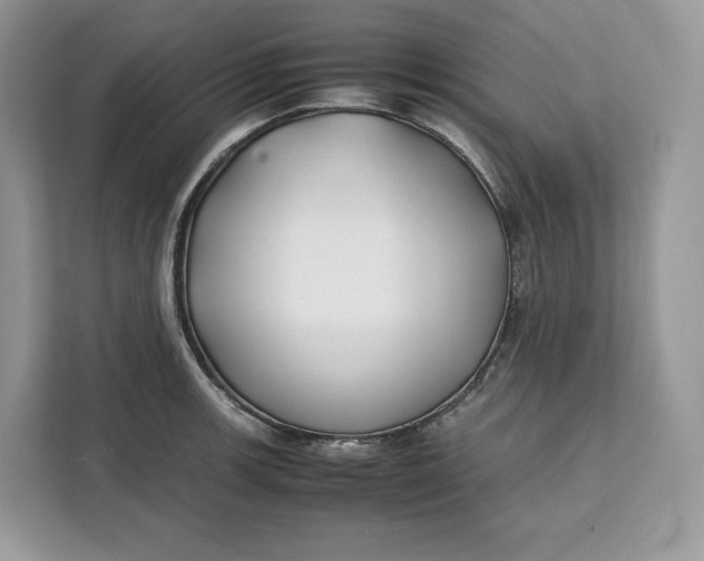 X0000112211139200908281454