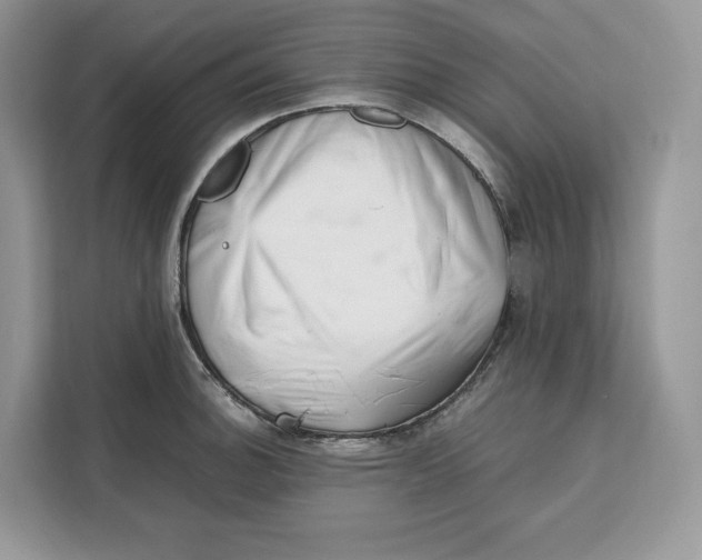 X0000112211140200908281454