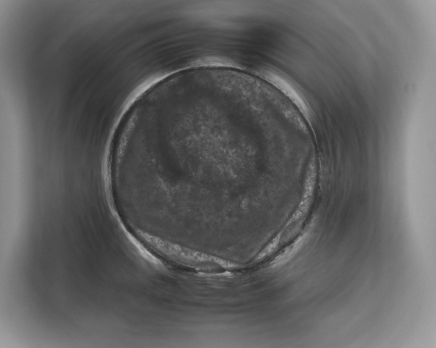 X0000112211141200908281454