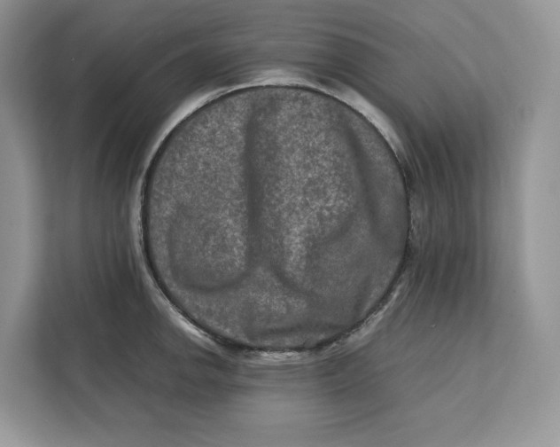 X0000112211142200908281454