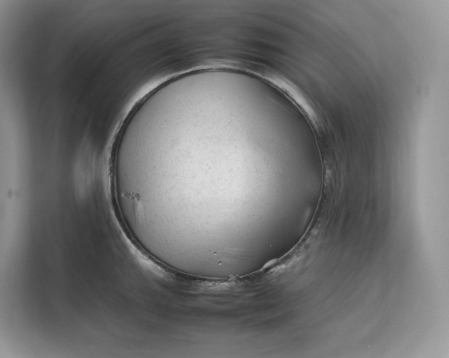 X0000112211143200908281454