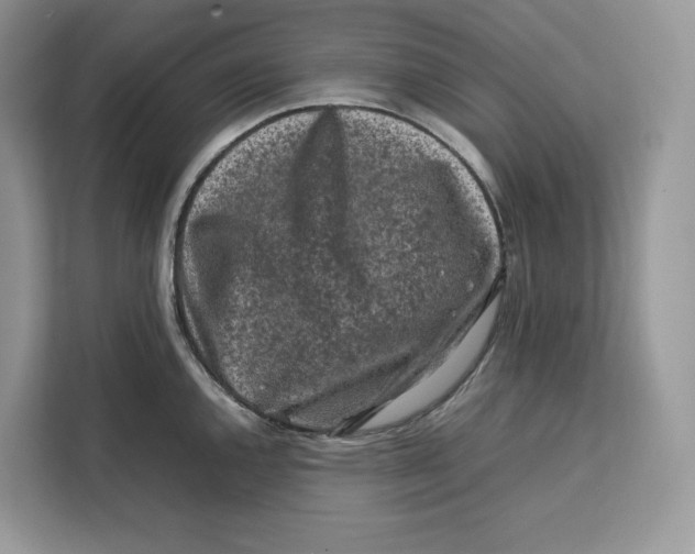 X0000112211144200908281454