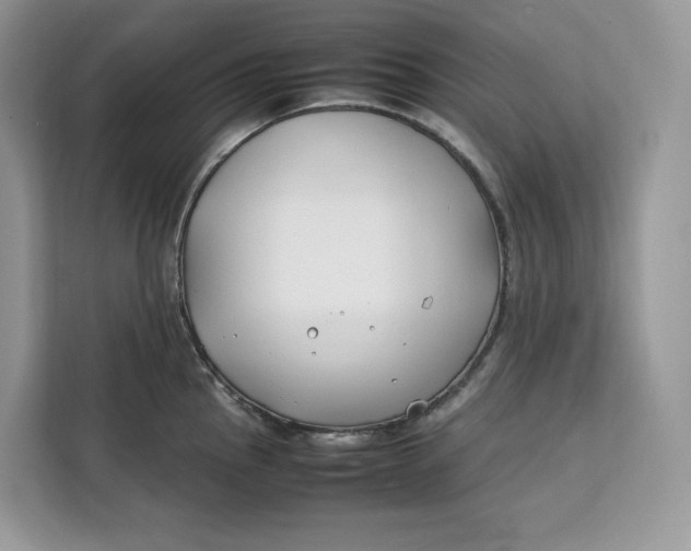 X0000112211145200908281454