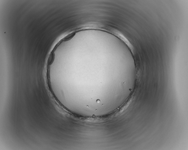 X0000112211146200908281454