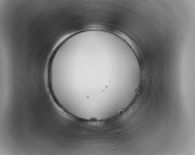 X0000112211147200908281454