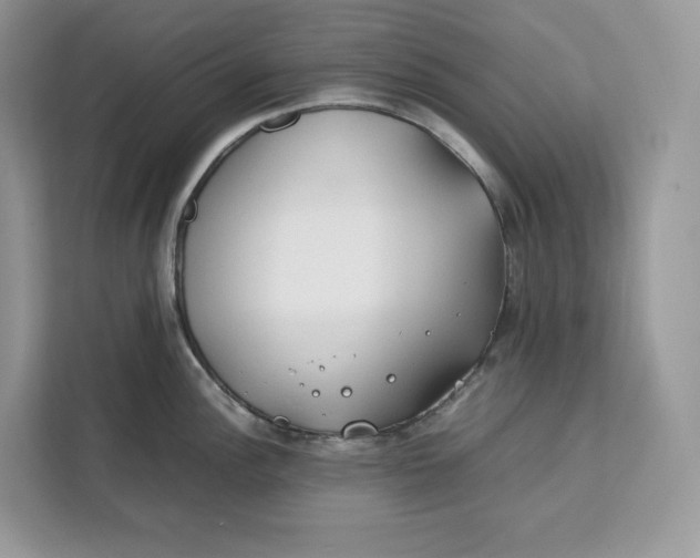 X0000112211148200908281454