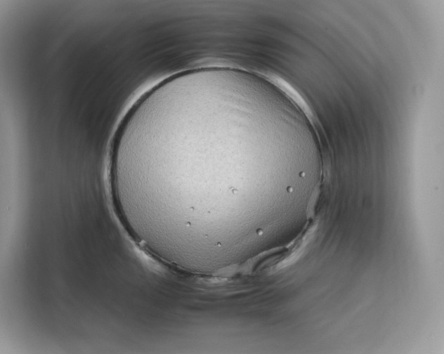 X0000112211149200908281454