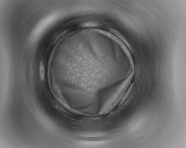 X0000112211151200908281454