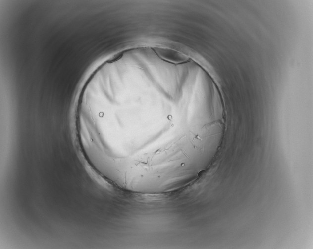 X0000112211152200908281454