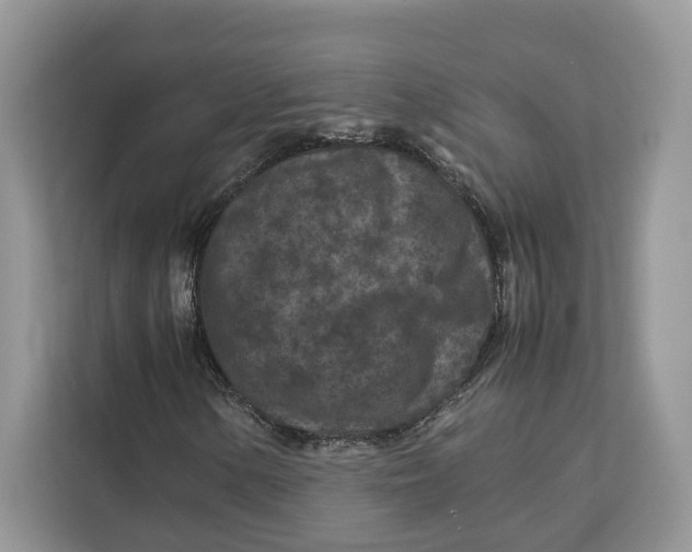X0000112211154200908281454