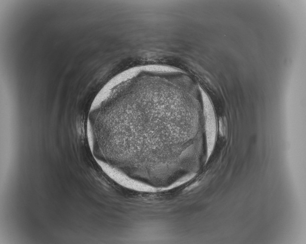 X0000112211155200908281454