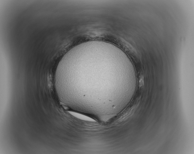 X0000112211156200908281454