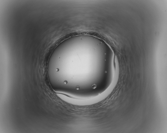 X0000112211157200908281454