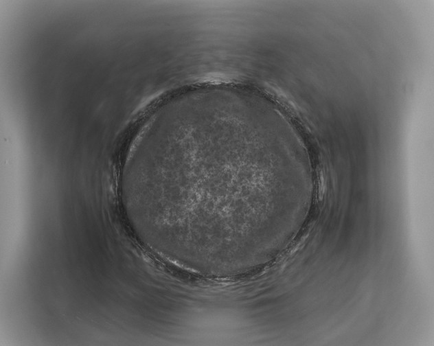 X0000112211158200908281454