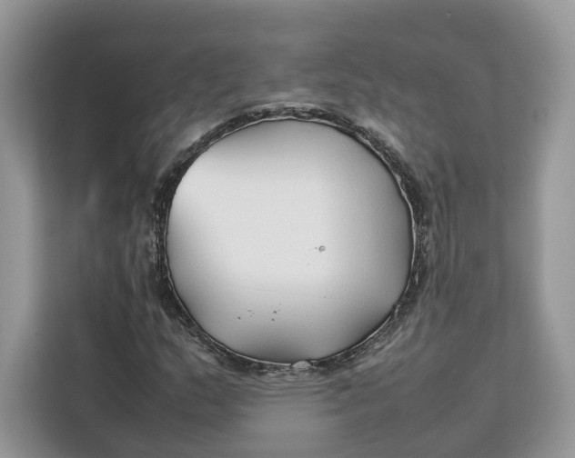 X0000112211159200908281454