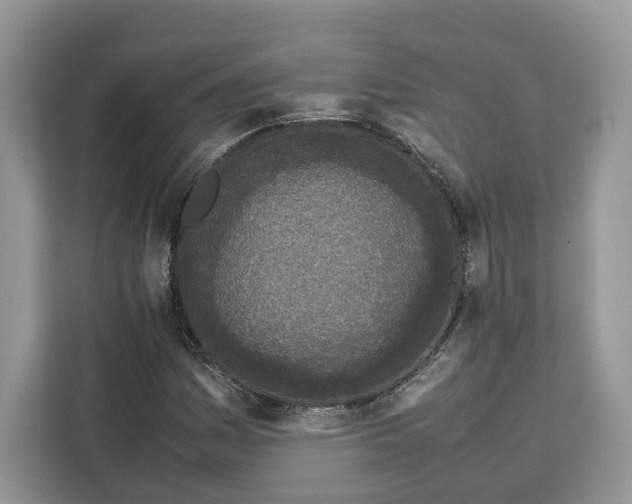 X0000112211161200908281454