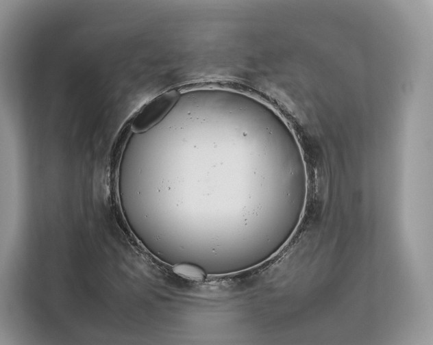 X0000112211165200908281454