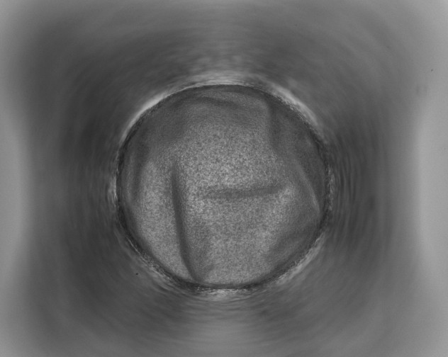 X0000112211166200908281454